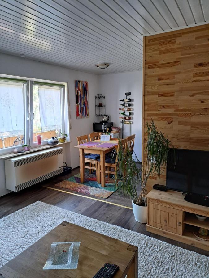 Felsenland Apartment Ludwigswinkel Exterior foto